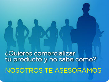 Asesoria